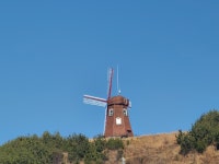 바람의 언덕 근황 - 뽐뿌:자유게시판 바람의 언덕 근황