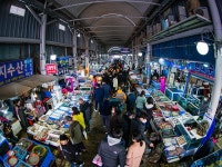 장보러 전통 시장 다녀왔네요..ㅡㅡ; - 뽐뿌:자유게시판 장보러 전통 시장 다녀왔네요..ㅡㅡ;