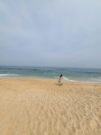 동해바다ㅎㅎ - 뽐뿌:자유갤러리 동해바다ㅎㅎ