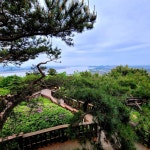 파주 심학산입니다. - 뽐뿌:자유갤러리 파주 심학산입니다.