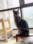 달봉봉 - 뽐뿌:자유갤러리 달봉봉