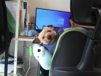 빼꼼~ - 뽐뿌:자유갤러리 빼꼼~