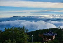 2021.07.18 대구 팔공산 하늘정원 - 뽐뿌:등산포럼 2021.07.18 대구 팔공산 하늘정원