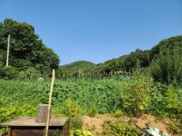 지금 농장 너무 덥 ... - 뽐뿌:자유갤러리 지금 농장 너무 덥 ...