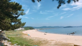 당일치기로 대천 다녀왔네요~ - 뽐뿌:자유게시판 당일치기로 대천 다녀왔네요~
