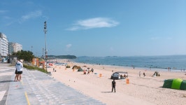 당일치기로 대천 다녀왔네요~ - 뽐뿌:자유게시판 당일치기로 대천 다녀왔네요~