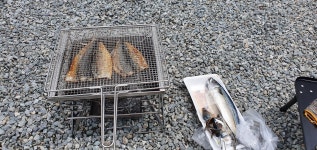 고등어 - 뽐뿌:자유갤러리 고등어