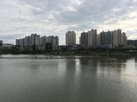 호수공원 - 뽐뿌:자유갤러리 호수공원