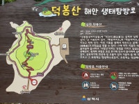 맹방해변 - 뽐뿌:자유갤러리 맹방해변