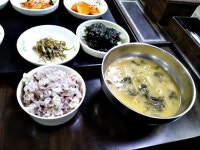 백반 - 뽐뿌:자유갤러리 백반