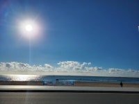 부산 송정 - 뽐뿌:자유갤러리 부산 송정