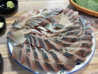 야도 - 뽐뿌:자유갤러리 야도