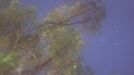 충남 마곡사 가는길 야경 - 뽐뿌:자유갤러리 충남 마곡사 가는길 야경