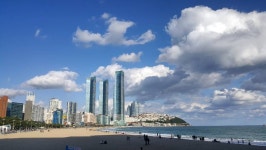 오늘 해운대 - 뽐뿌:자유게시판 오늘 해운대