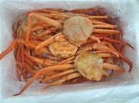 홍게라도 좋네요 - 뽐뿌:자유갤러리 홍게라도 좋네요