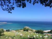 멋진바다 - 뽐뿌:자유갤러리 멋진바다