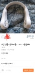 당근 - 뽐뿌:휴대폰포럼 당근