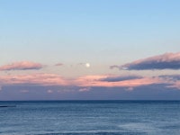 지난 주말 천진해수욕장 - 뽐뿌:자유갤러리 지난 주말 천진해수욕장