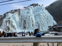 강구항 대게 먹으러 갔다가 왔는데 - 뽐뿌:자유게시판 강구항 대게 먹으러 갔다가 왔는데
