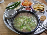 오늘 포항에 장기식당 다녀왔어요 - 뽐뿌:자유게시판 오늘 포항에 장기식당 다녀왔어요