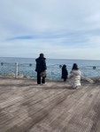 동해여행왔어요 - 뽐뿌:자유갤러리 동해여행왔어요