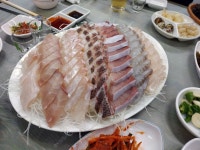 무슨 회인지 알려 주세요~~~ - 뽐뿌:자유갤러리 무슨 회인지 알려 주세요~~~