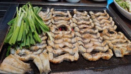 장어한판 - 뽐뿌:자유갤러리 장어한판