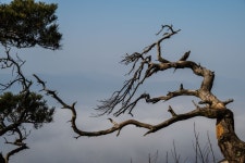 양주 불곡산 - 뽐뿌:자유갤러리 양주 불곡산