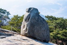 양주 불곡산 - 뽐뿌:자유갤러리 양주 불곡산