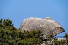 양주 불곡산 - 뽐뿌:자유갤러리 양주 불곡산