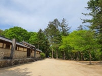 파주 삼릉 - 뽐뿌:자유갤러리 파주 삼릉