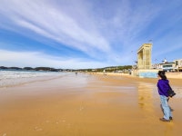 만리포 - 뽐뿌:자유갤러리 만리포