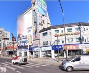 송영길 사무소 주변 사거리 봤는데 가지 쳐져있는 나무들 꽤있네요 - 뽐뿌:정치자유게시판 송영길 사무소 주변 사거리 봤는데 가지 쳐져있는... 