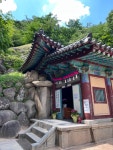 경주 오랜만에 가니 좋네요. - 뽐뿌:자유게시판 경주 오랜만에 가니 좋네요.
