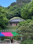 경주 오랜만에 가니 좋네요. - 뽐뿌:자유게시판 경주 오랜만에 가니 좋네요.