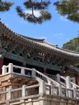 경주 오랜만에 가니 좋네요. - 뽐뿌:자유게시판 경주 오랜만에 가니 좋네요.