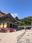 경주 오랜만에 가니 좋네요. - 뽐뿌:자유게시판 경주 오랜만에 가니 좋네요.