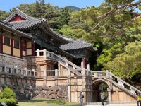 경주 오랜만에 가니 좋네요. - 뽐뿌:자유게시판 경주 오랜만에 가니 좋네요.