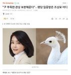 풍수지리 명당 입증 받은 묘소 - 뽐뿌:자유게시판 풍수지리 명당 입증 받은 묘소