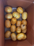뽐게 허니농산 참외 망했네요;; - 뽐뿌:자유게시판 뽐게 허니농산 참외 망했네요;;