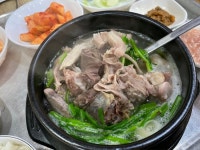 순대국 - 뽐뿌:자유갤러리 순대국