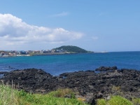 오늘 날씨 좋아서 바닷가 산책 - 뽐뿌:자유갤러리 오늘 날씨 좋아서 바닷가 산책