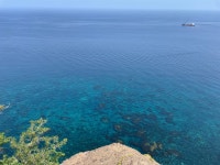 울릉도 왔다 갑니다 - 뽐뿌:여행포럼 울릉도 왔다 갑니다