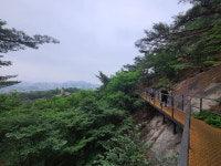 청와대 전망대 가는길 - 뽐뿌:자유갤러리 청와대 전망대 가는길