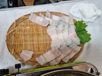 오늘 낮에 먹은 하모 샤브샤브 입니다 - 뽐뿌:자유게시판 오늘 낮에 먹은 하모 샤브샤브 입니다
