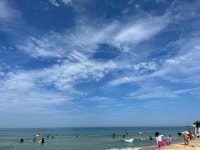 썬탠하기 딱 좋음 - 뽐뿌:자유게시판 썬탠하기 딱 좋음