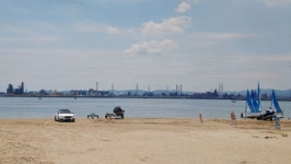 물회먹으러 포항 왔는데 ㅎㅎ - 뽐뿌:자유게시판 물회먹으러 포항 왔는데 ㅎㅎ