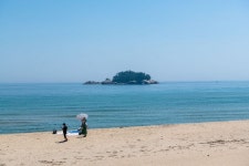 해파랑길 42, 43코스 - 뽐뿌:자유갤러리 해파랑길 42, 43코스