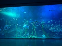 제주 아쿠아플라넷 - 뽐뿌:자유갤러리 제주 아쿠아플라넷