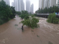 집앞 학의천 - 뽐뿌:자유갤러리 집앞  학의천